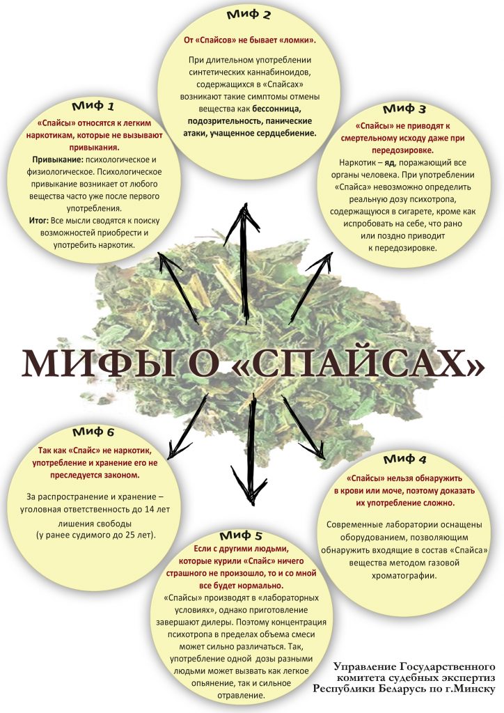 images/galleries/ИВР-против наркотиков 2/ИВР-против_наркотиков_2-c42c7e42-2e4a-4117-86ad_KEGwSBK.jpg