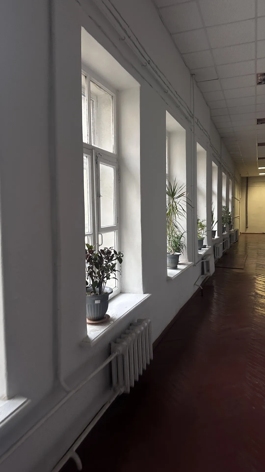 images/galleries/гордейчик 280426/гордейчик_280426-9963eb86-c71d-4da0-9763-abb73504b556.webp