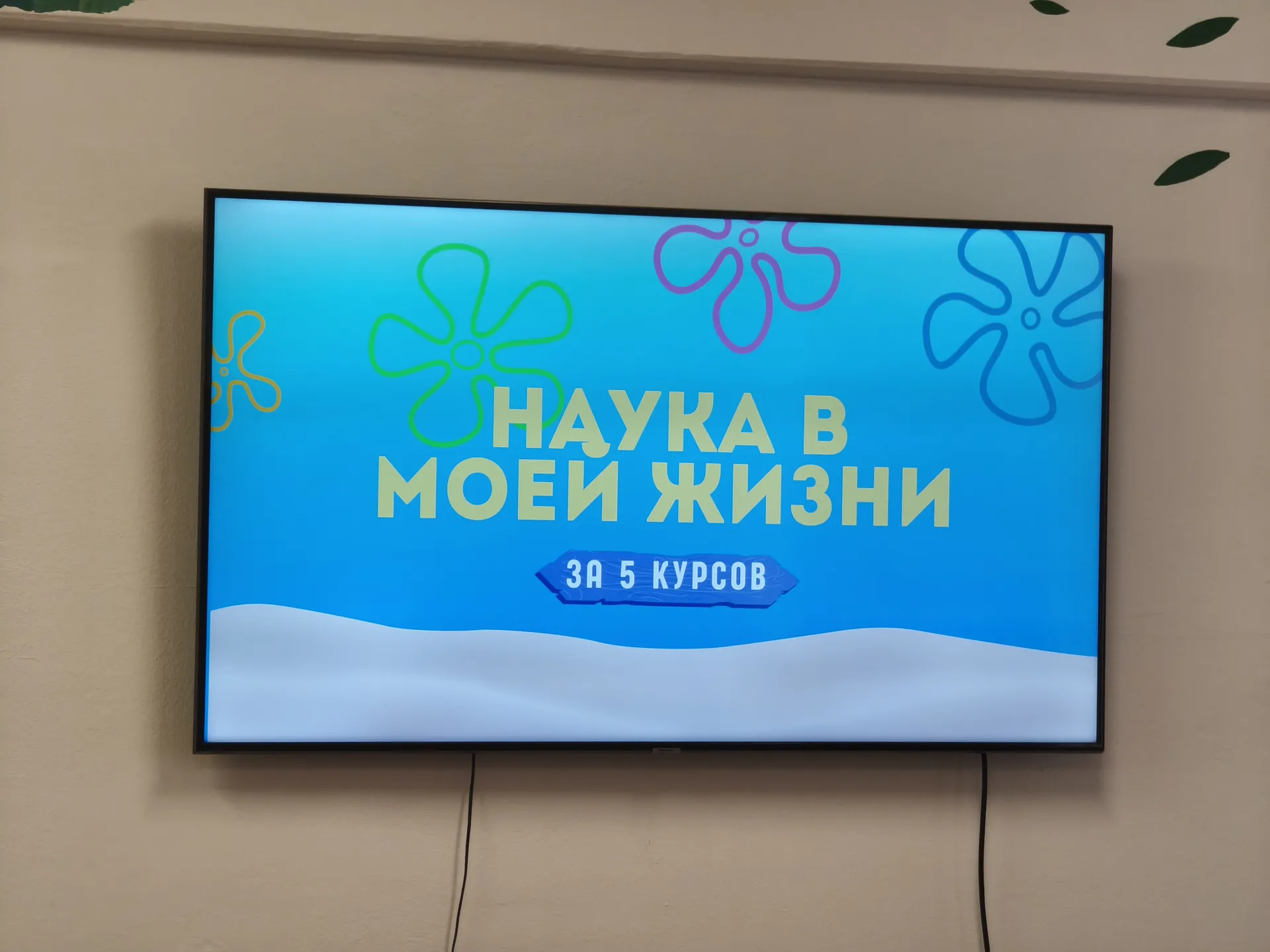 images/galleries/круглыйй стол 13 05 26/круглыйй_стол_13_05_26-38b13a6a-99cb-4030-bcd3-_nrjBTRo.webp
