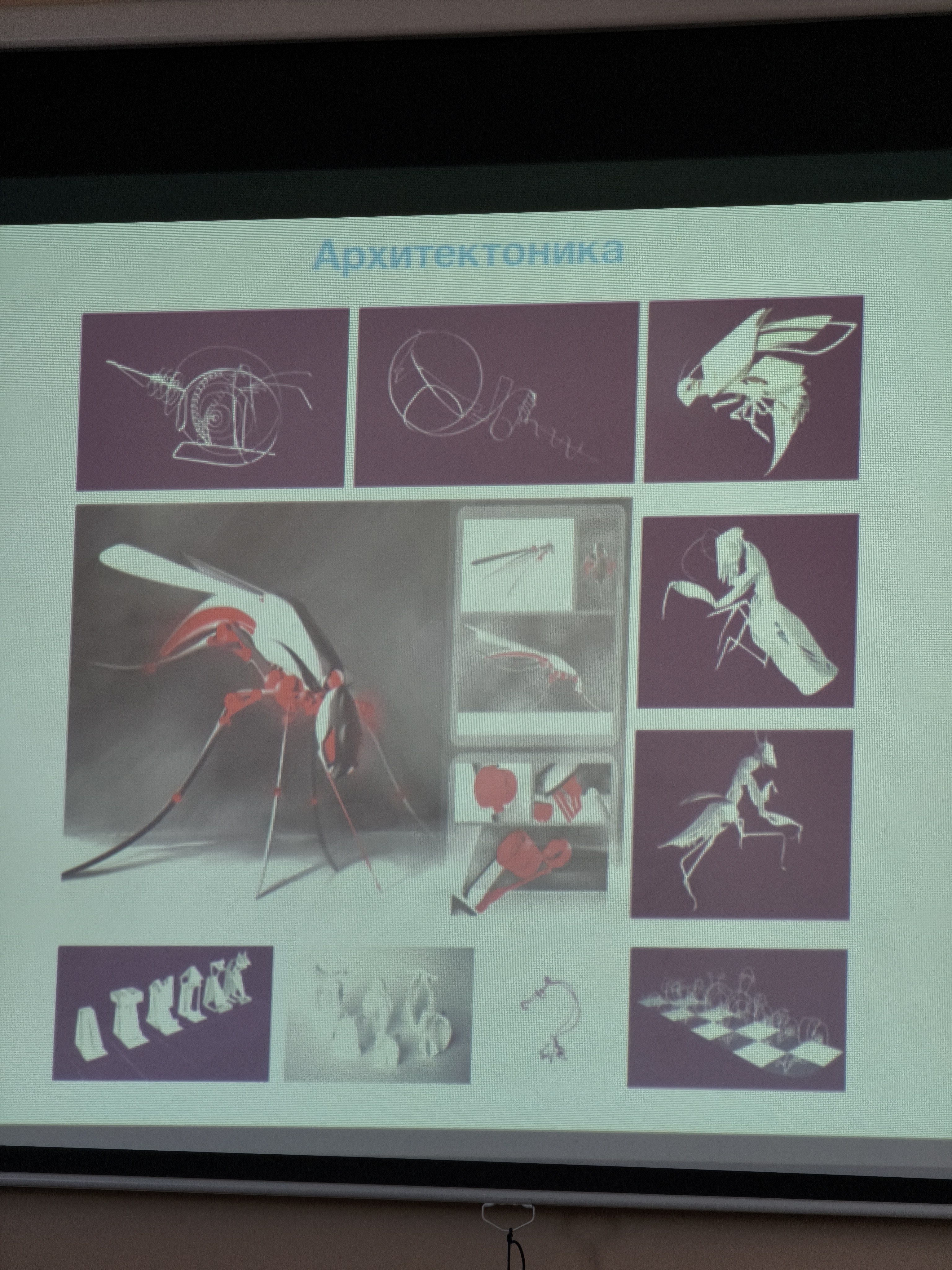 images/galleries/проф ориентация 10 02 2026/проф_ориентация_10_02_2026-626ee6a0-d26a-4f4_eyOlBdm.jpg