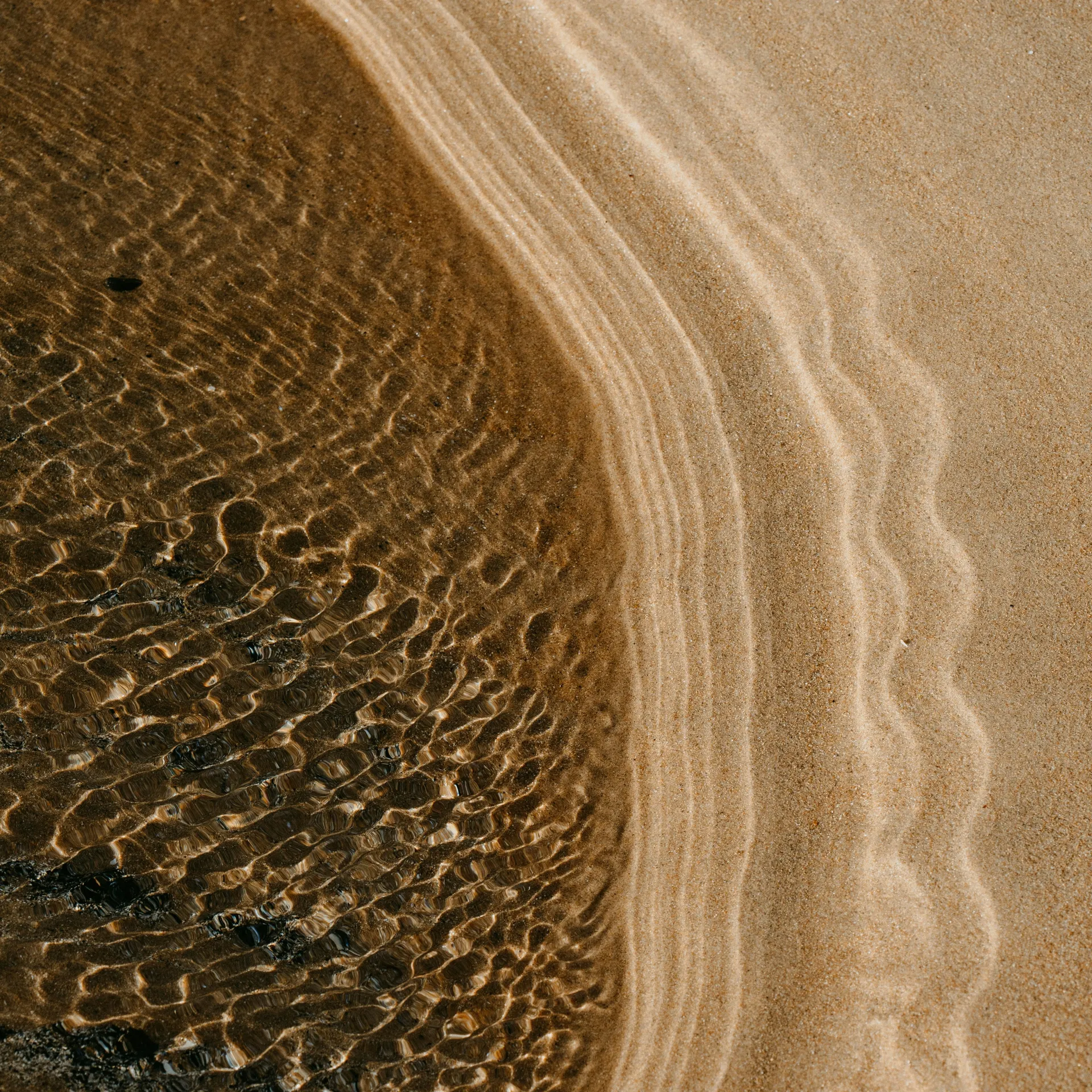 Выставка «Мир природных форм и текстур»